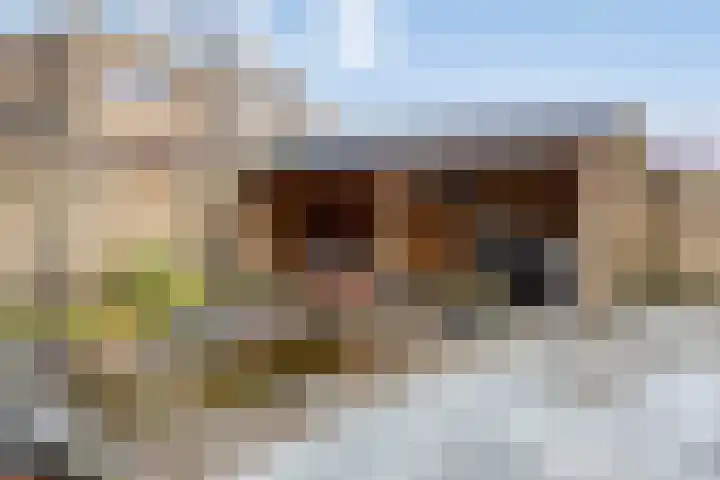 Groene Specht 14 Zeewolde thumbnail 45