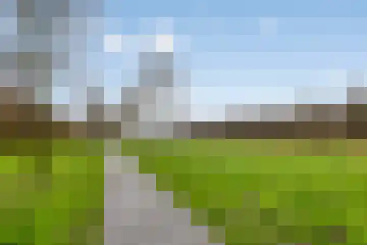 Groene Specht 14 Zeewolde thumbnail 46