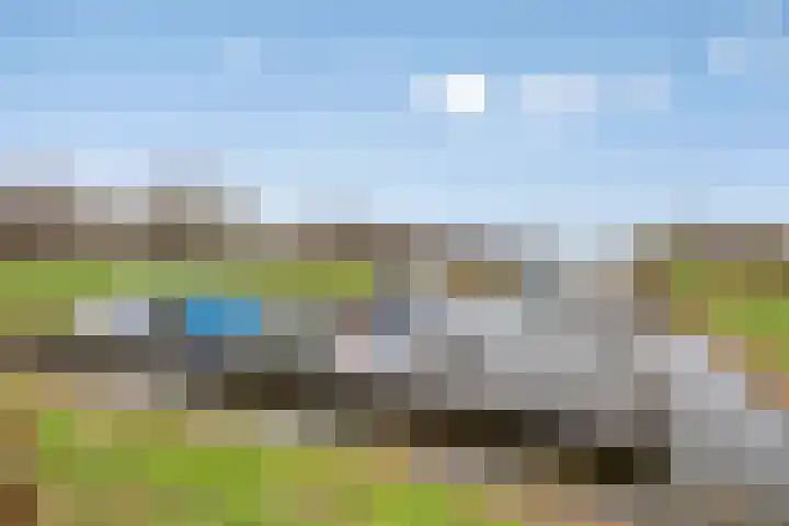 Groene Specht 14 Zeewolde thumbnail 47