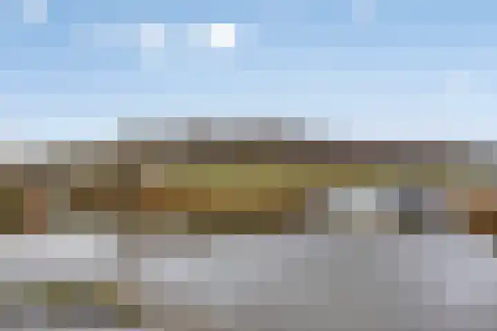 Groene Specht 14 Zeewolde thumbnail 48