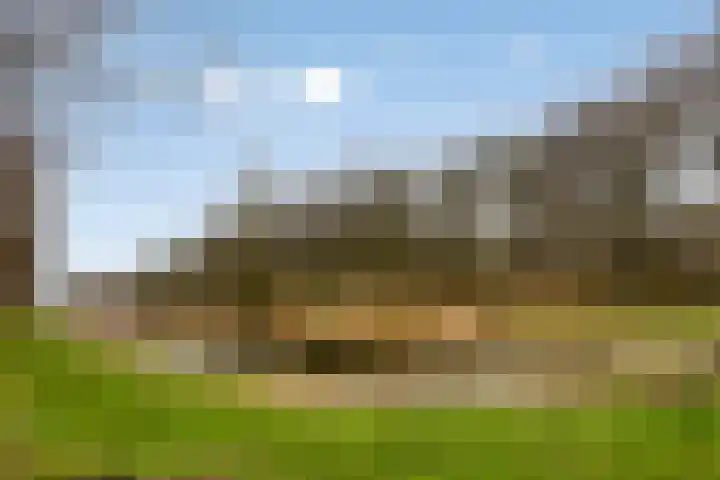Groene Specht 14 Zeewolde thumbnail 49