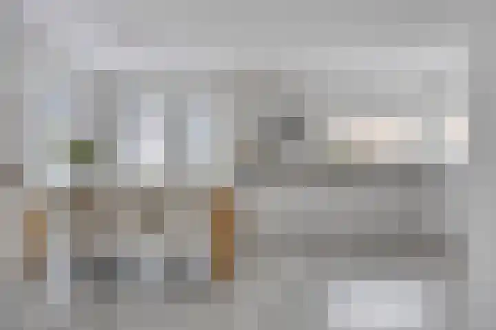 Groene Specht 14 Zeewolde thumbnail 5