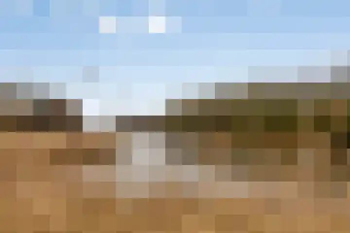 Groene Specht 14 Zeewolde thumbnail 50