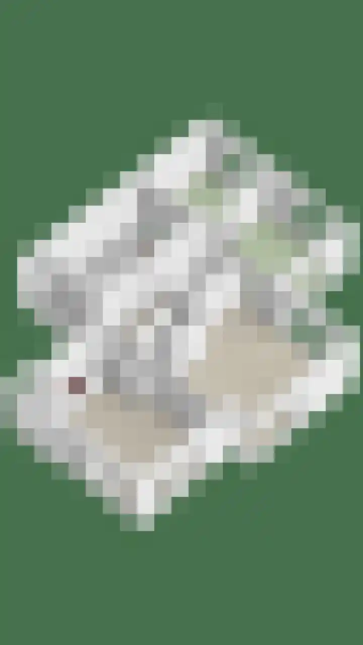Groene Specht 14 Zeewolde thumbnail 52