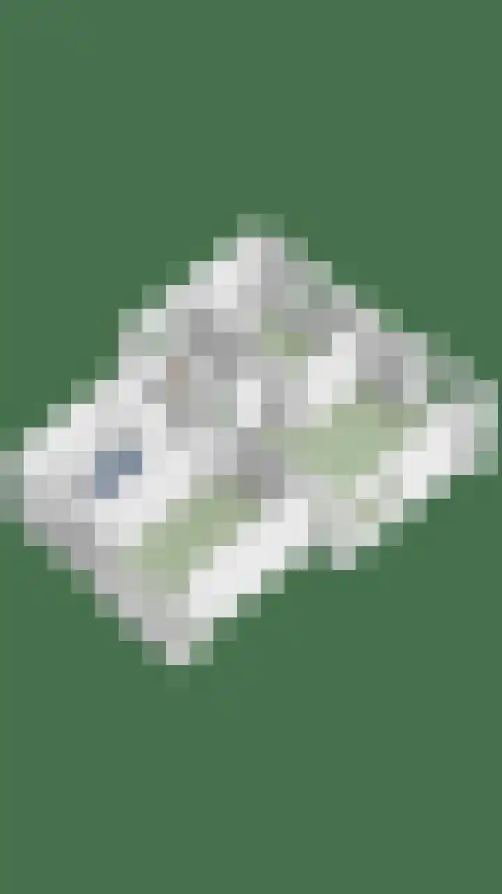 Groene Specht 14 Zeewolde thumbnail 54