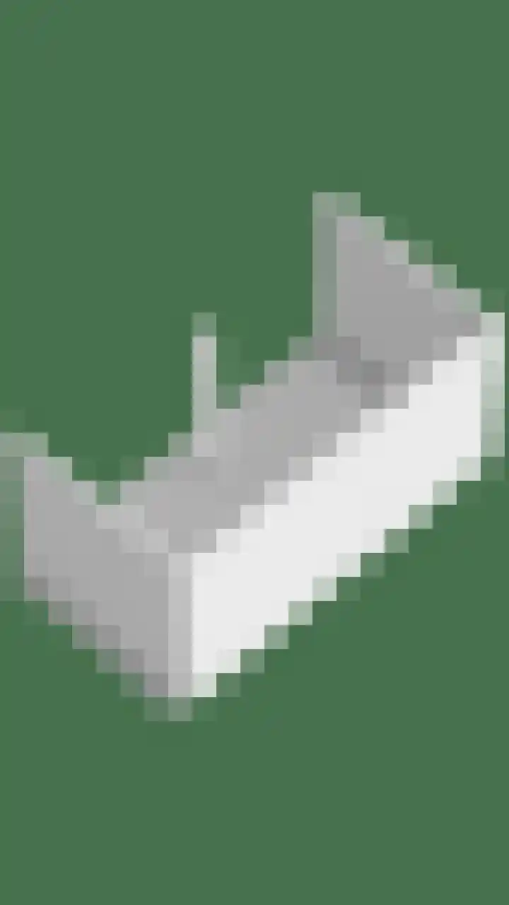 Groene Specht 14 Zeewolde thumbnail 58