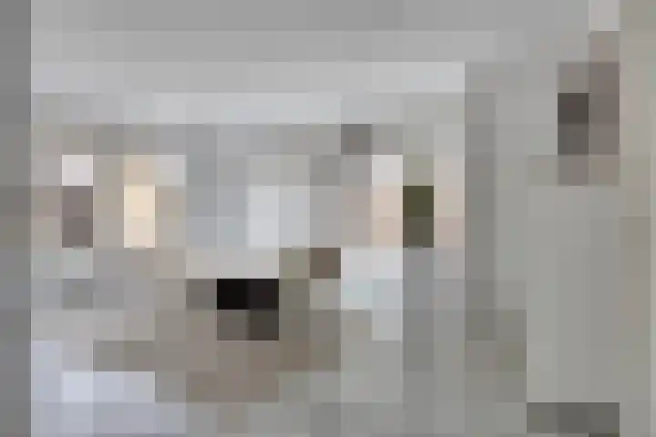 Groene Specht 14 Zeewolde thumbnail 9