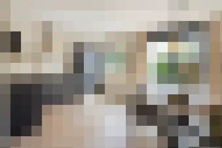 Groene Specht 16 Eijsden thumbnail 11