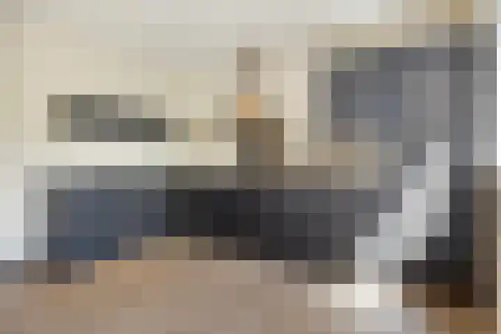 Groene Specht 16 Eijsden thumbnail 12