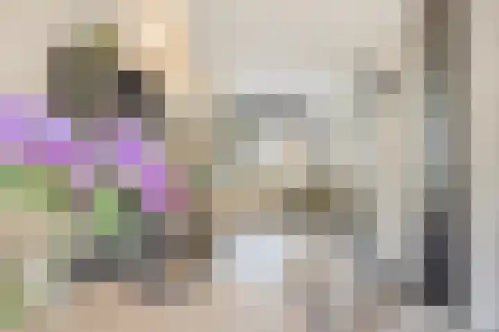 Groene Specht 16 Eijsden thumbnail 14