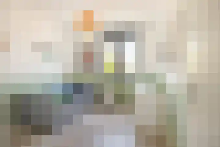 Groene Specht 16 Eijsden thumbnail 22