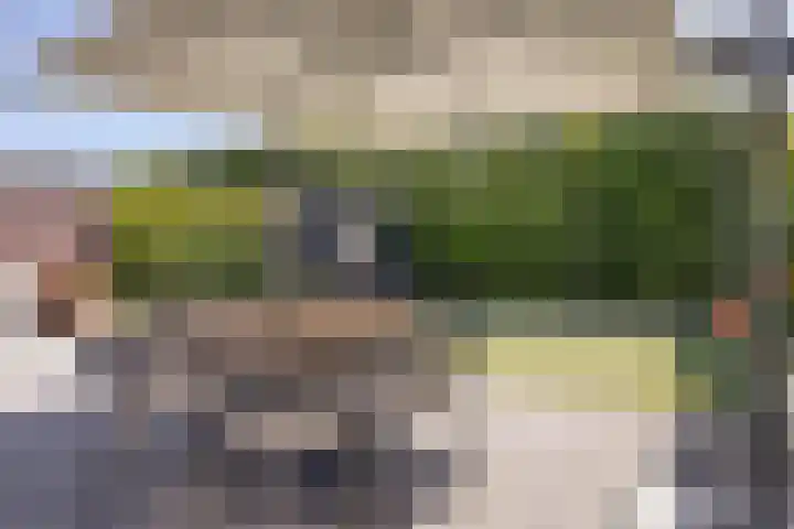 Groene Specht 16 Eijsden thumbnail 30