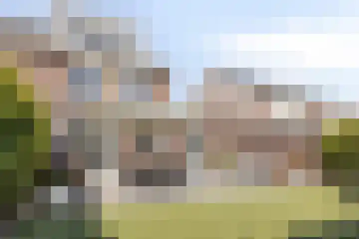 Groene Specht 16 Eijsden thumbnail 32