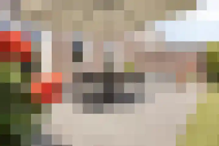 Groene Specht 16 Eijsden thumbnail 33