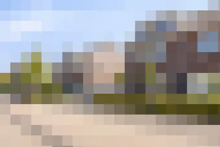 Groene Specht 16 Eijsden thumbnail 35