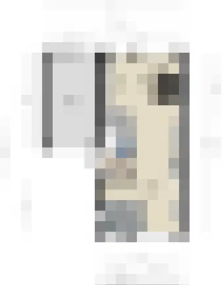 Groene Specht 16 Eijsden thumbnail 36