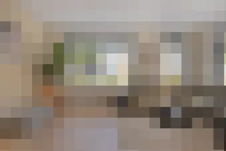 Groene Specht 16 Eijsden thumbnail 4