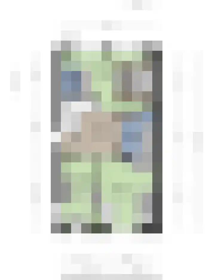 Groene Specht 16 Eijsden thumbnail 40