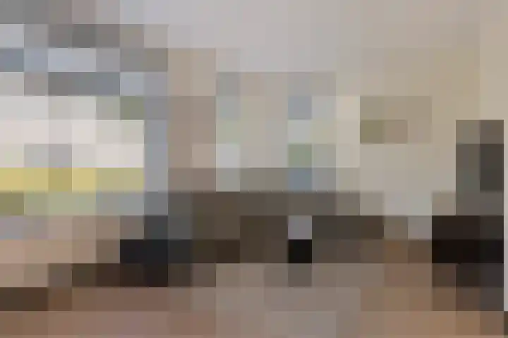 Groene Specht 16 Eijsden thumbnail 5
