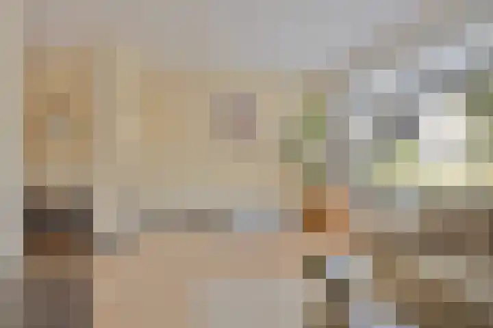 Groene Specht 16 Eijsden thumbnail 6