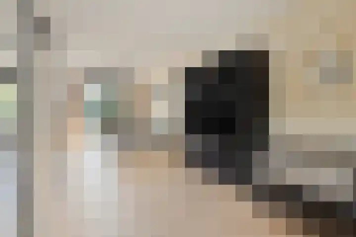 Groene Specht 16 Eijsden thumbnail 8