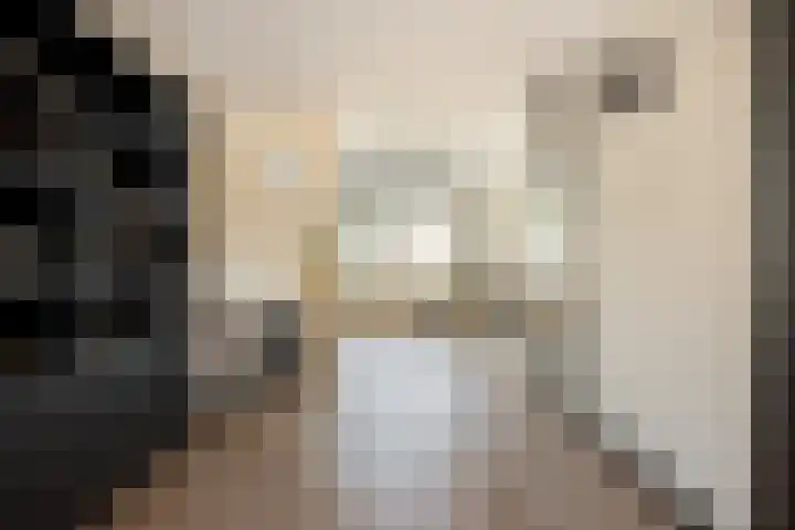Groene Specht 16 Eijsden thumbnail 9