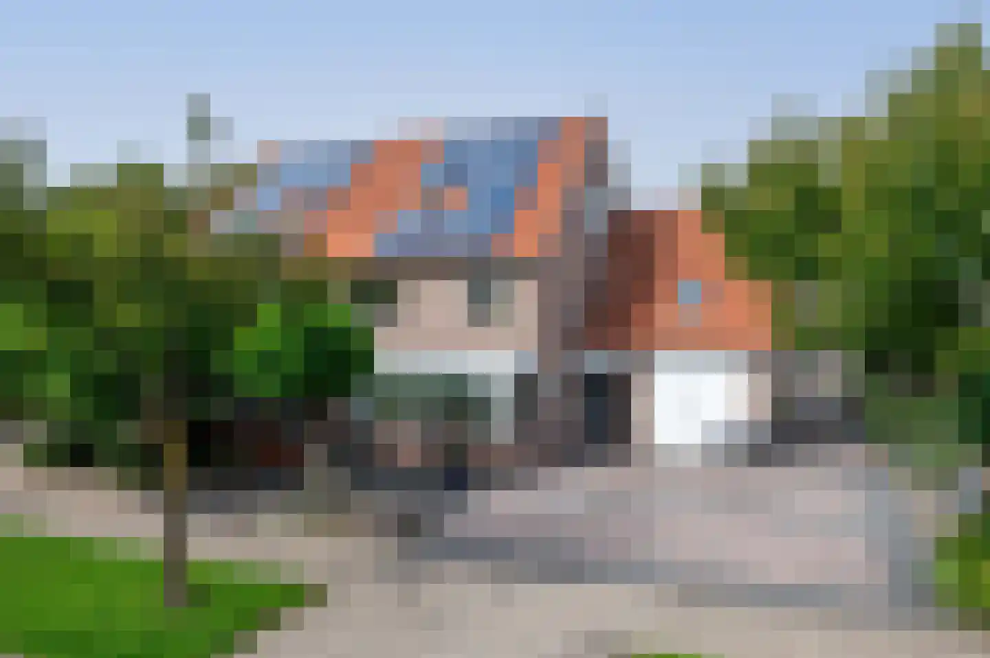 Groene Specht 18 Zeewolde foto 2