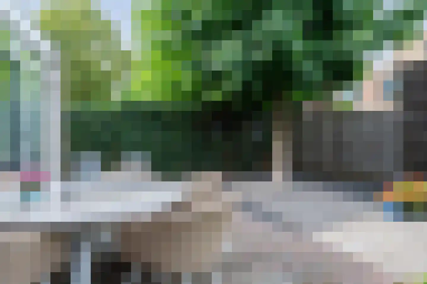 Groene Specht 18 Zeewolde thumbnail 34