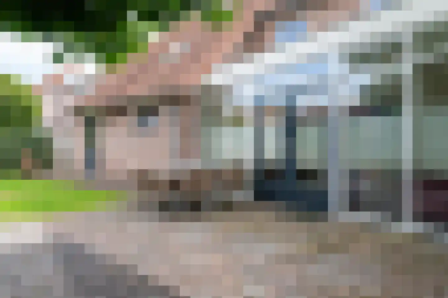 Groene Specht 18 Zeewolde thumbnail 36