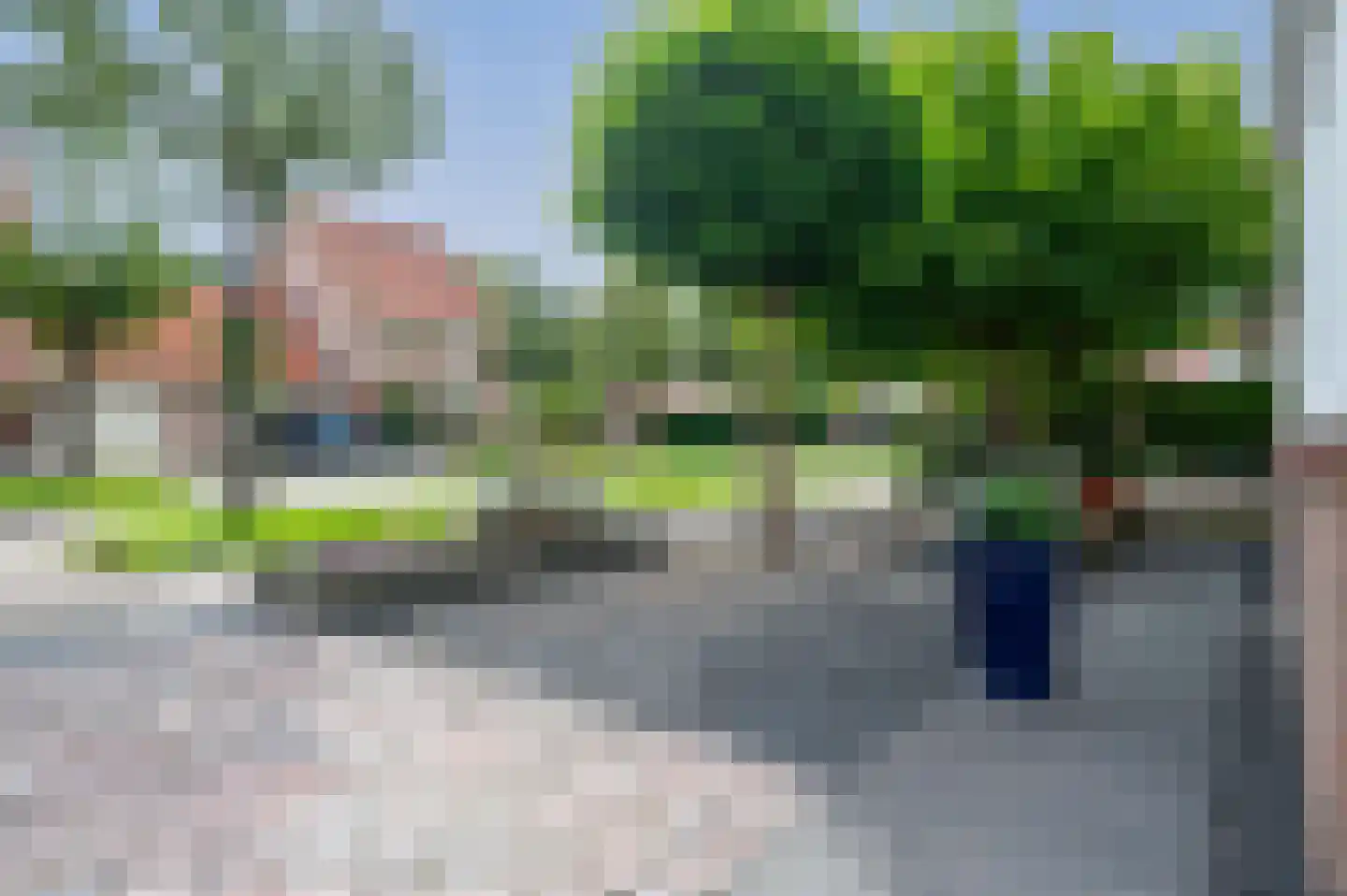 Groene Specht 18 Zeewolde thumbnail 40