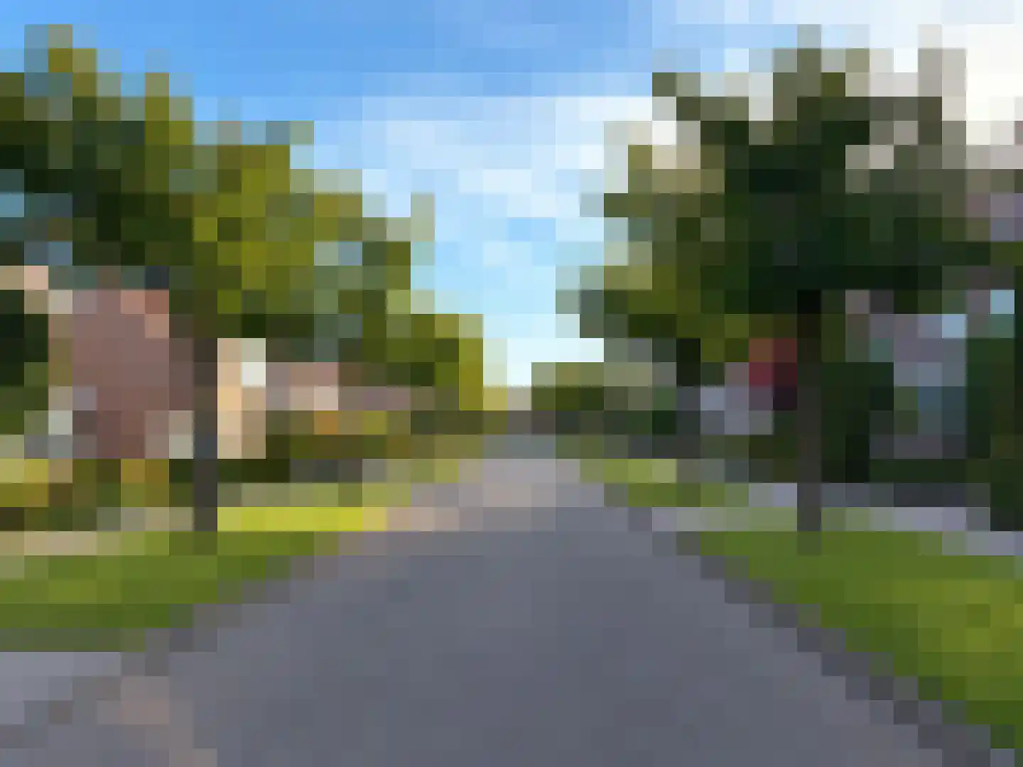 Groene Specht 18 Zeewolde thumbnail 46