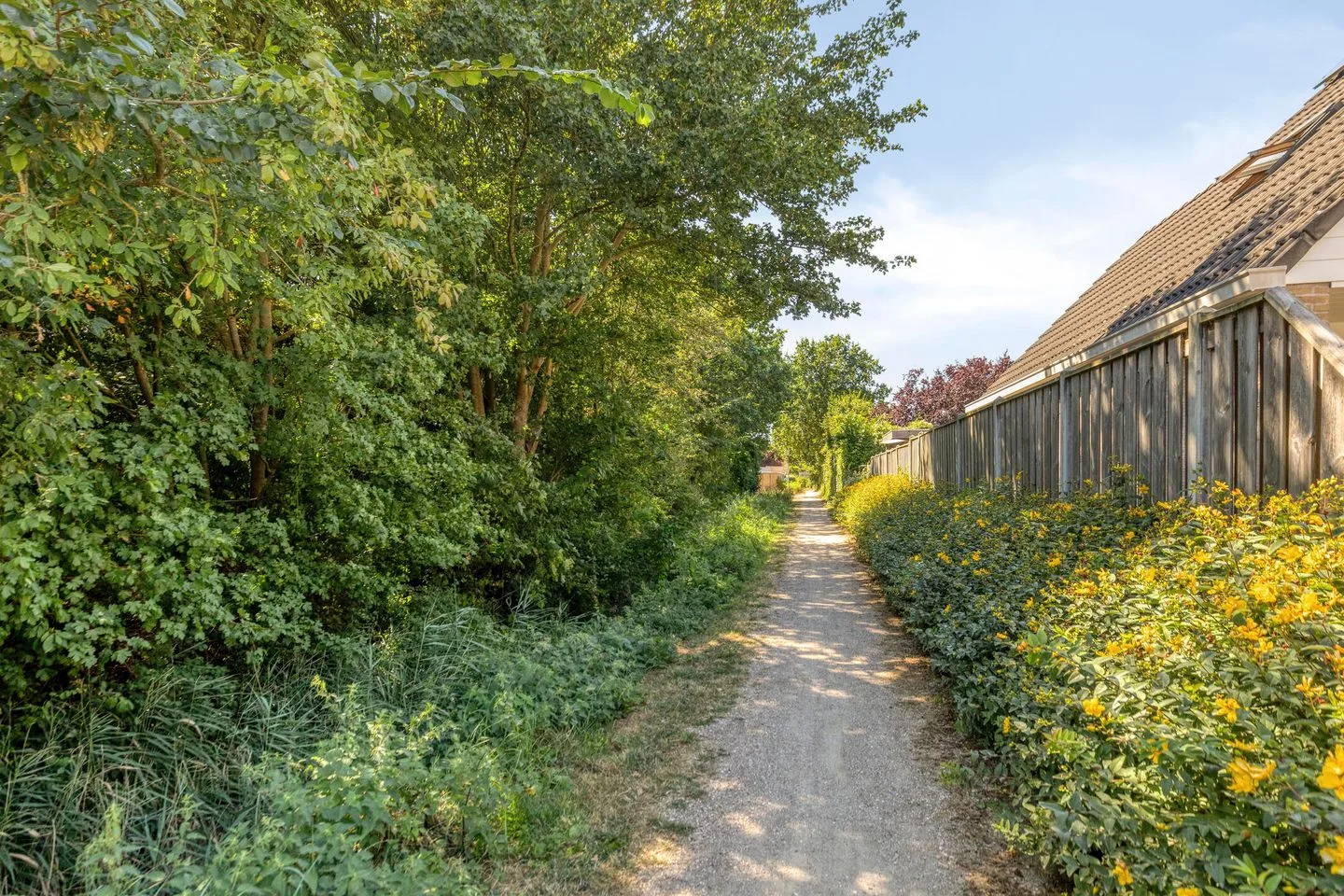 Groene Specht 19 Oostkapelle thumbnail 43
