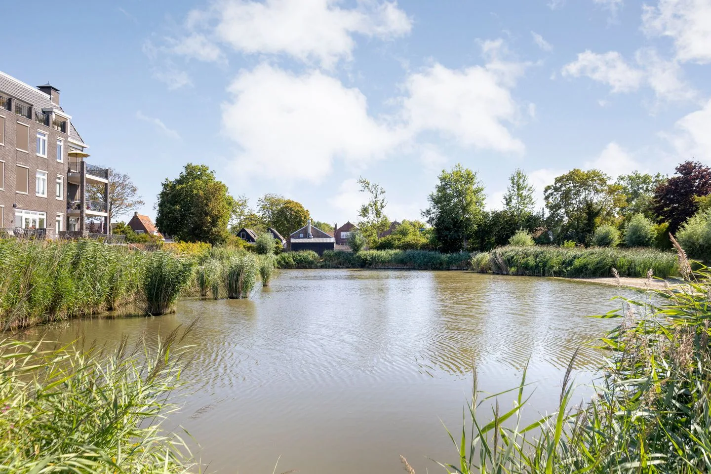 Groene Specht 19 Oostkapelle thumbnail 46