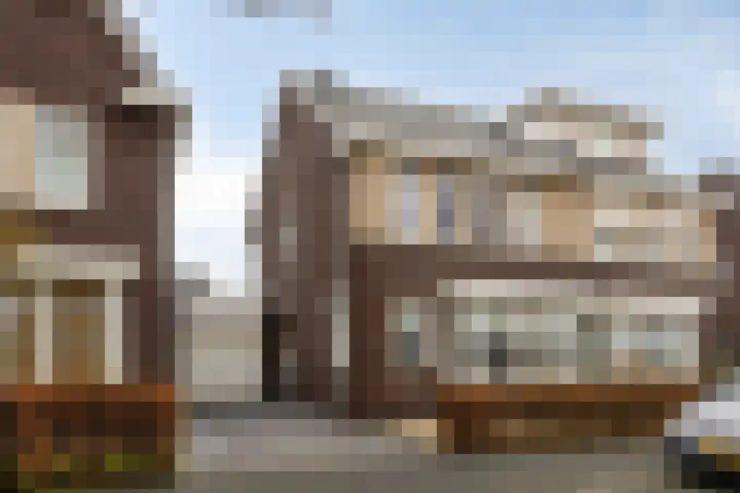 Groene Specht 3 Eijsden
