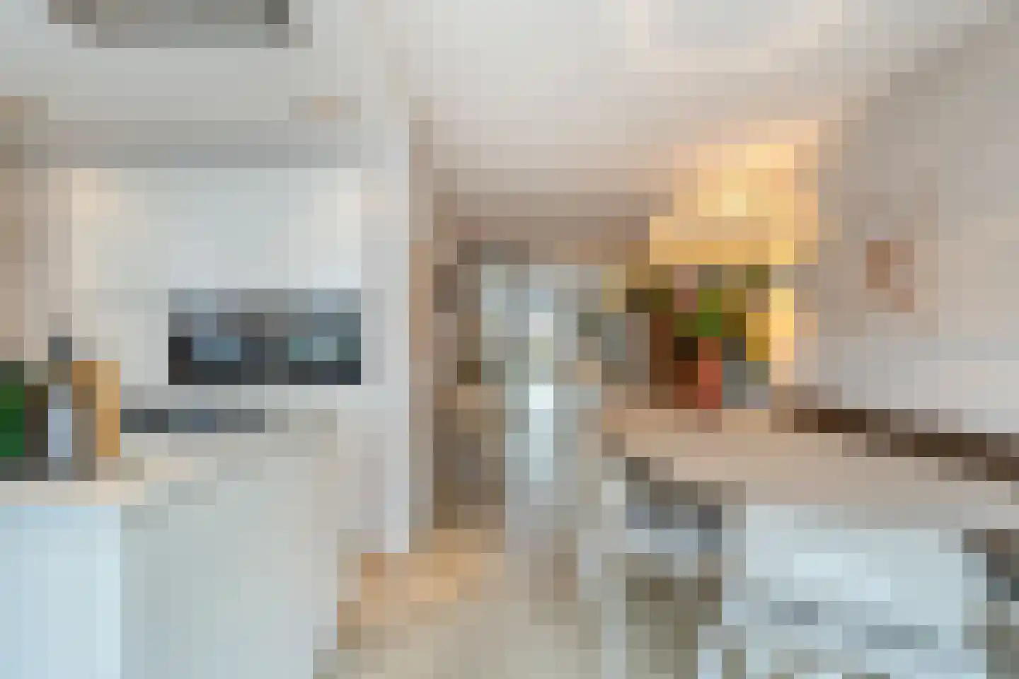 Groene Specht 3 Eijsden thumbnail 14