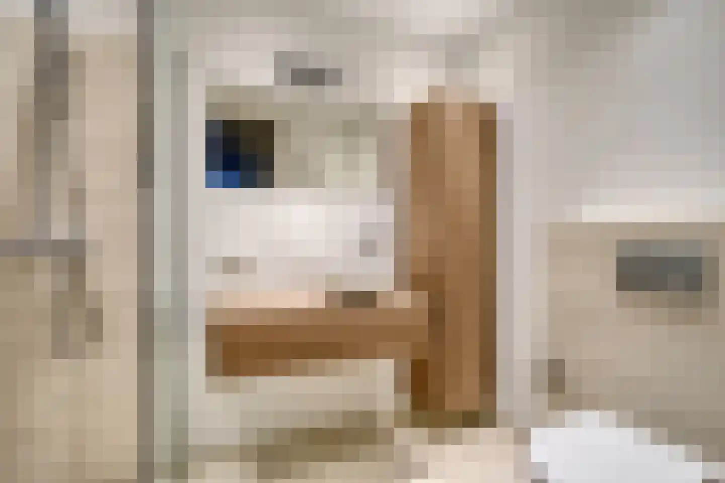 Groene Specht 3 Eijsden thumbnail 19