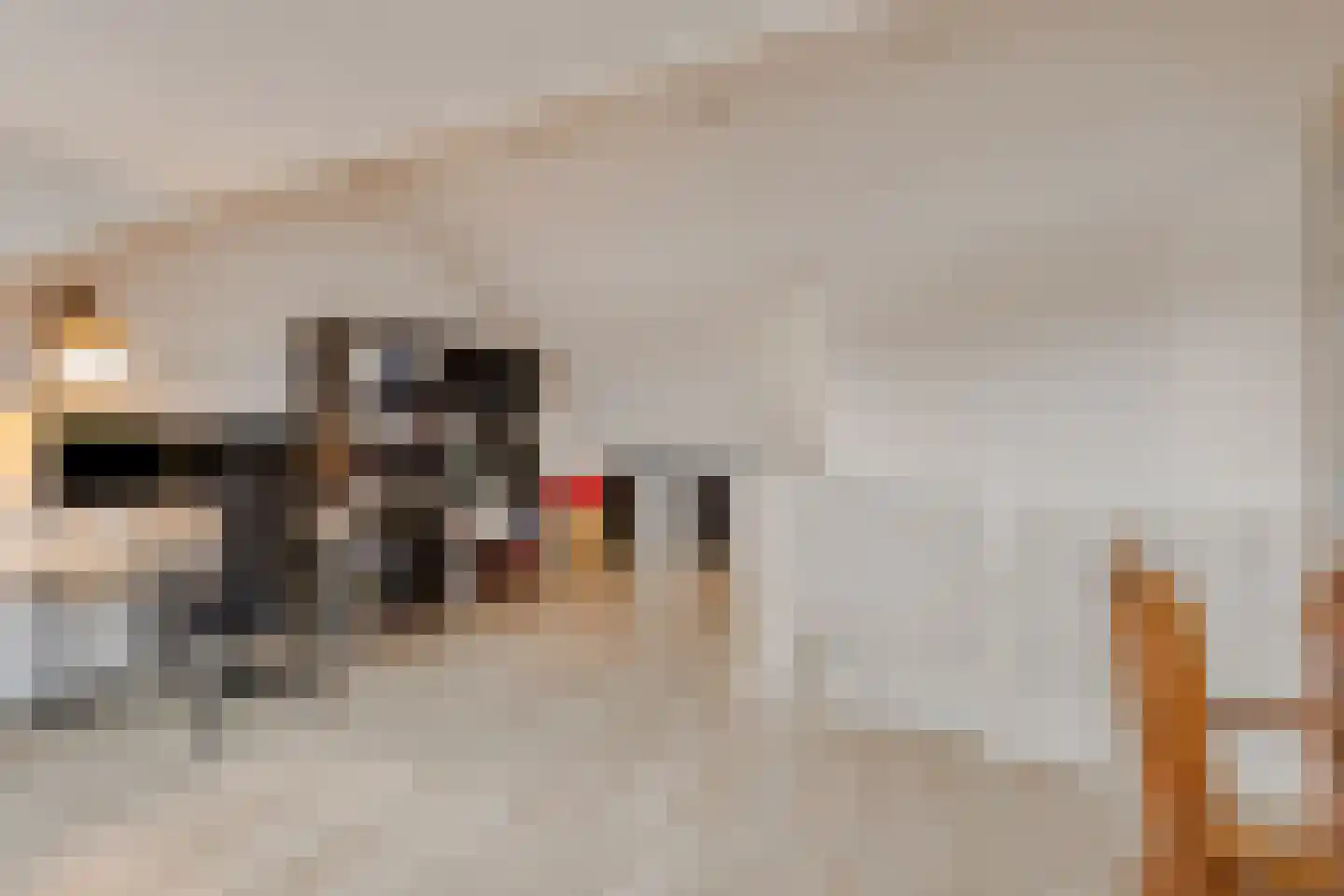 Groene Specht 3 Eijsden thumbnail 25
