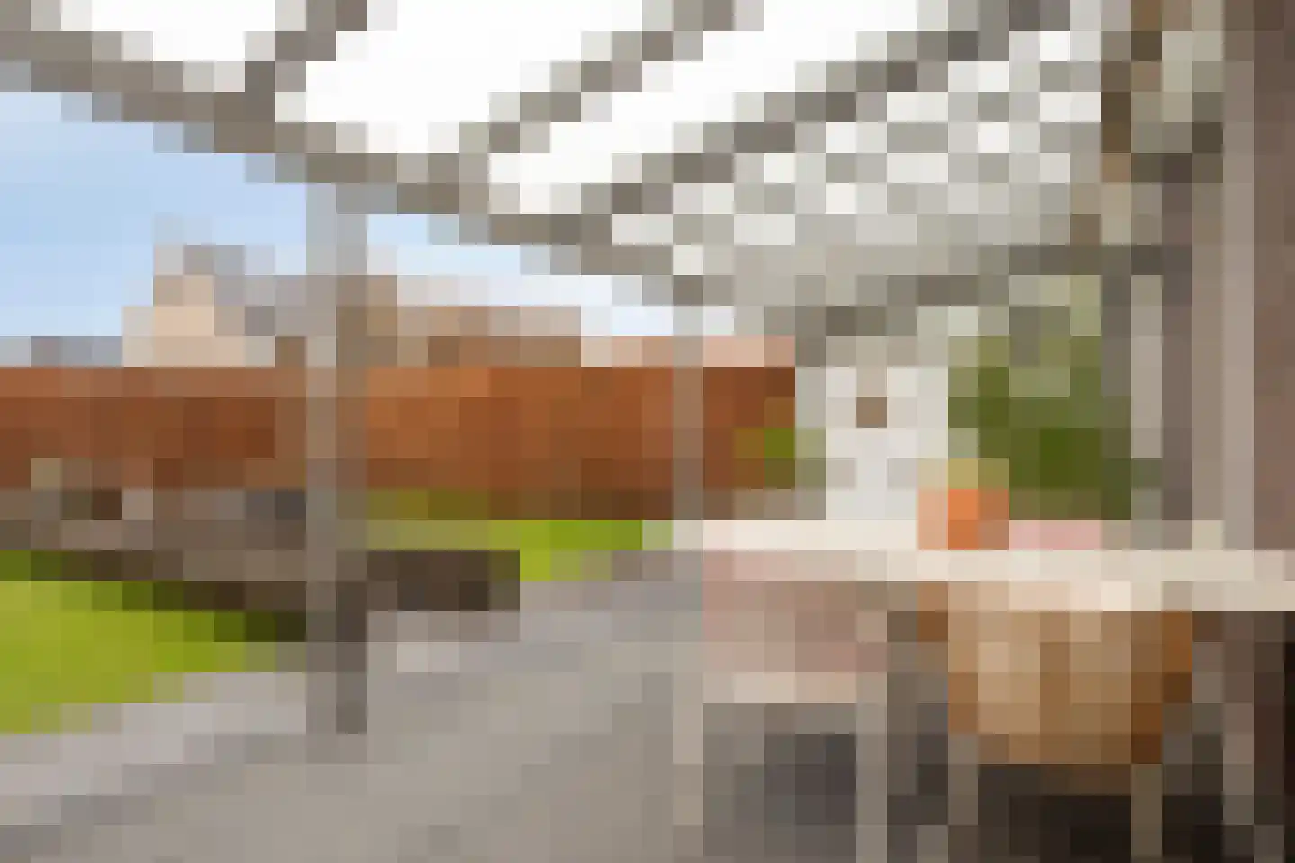 Groene Specht 3 Eijsden thumbnail 28