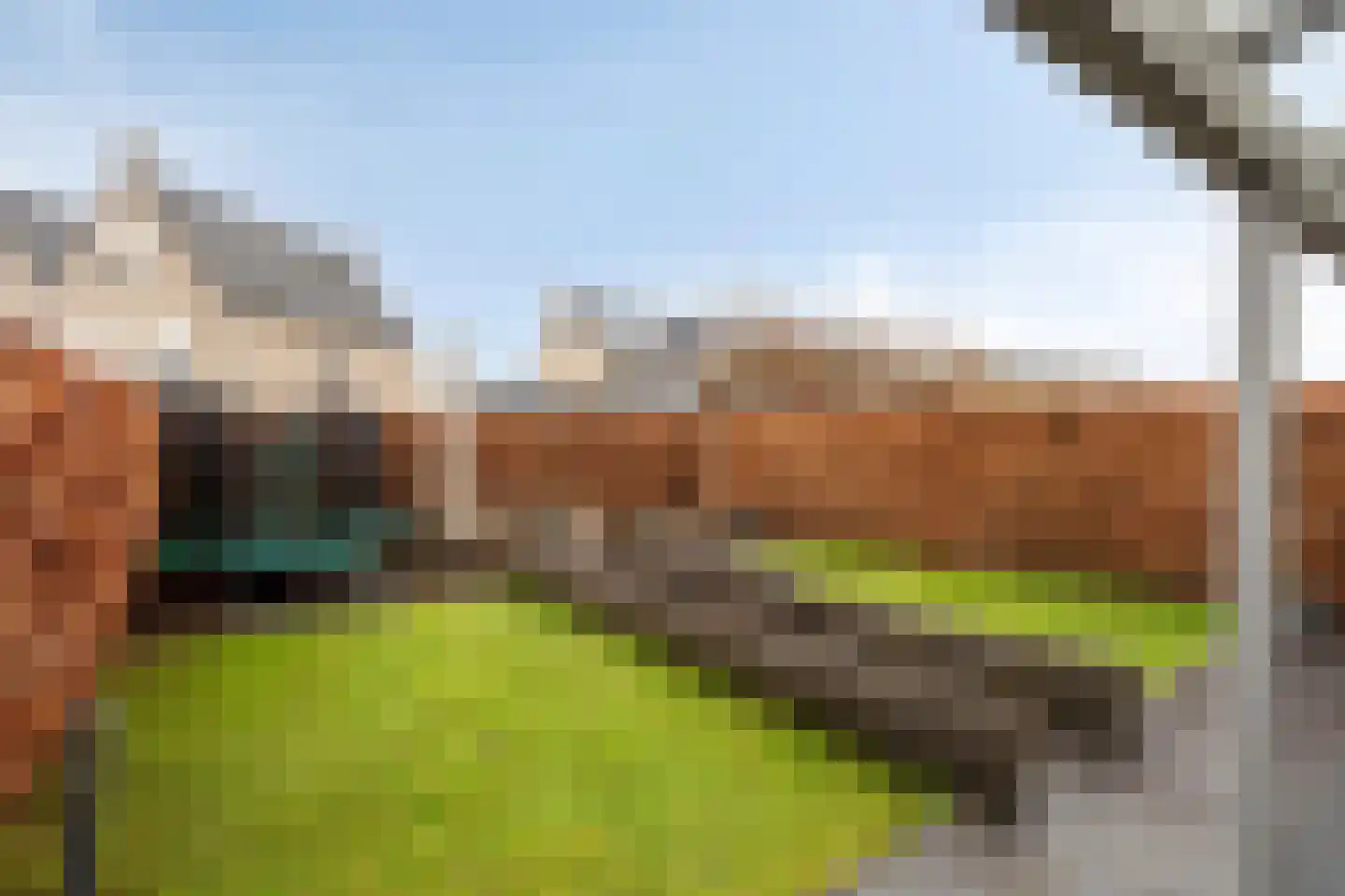 Groene Specht 3 Eijsden thumbnail 29