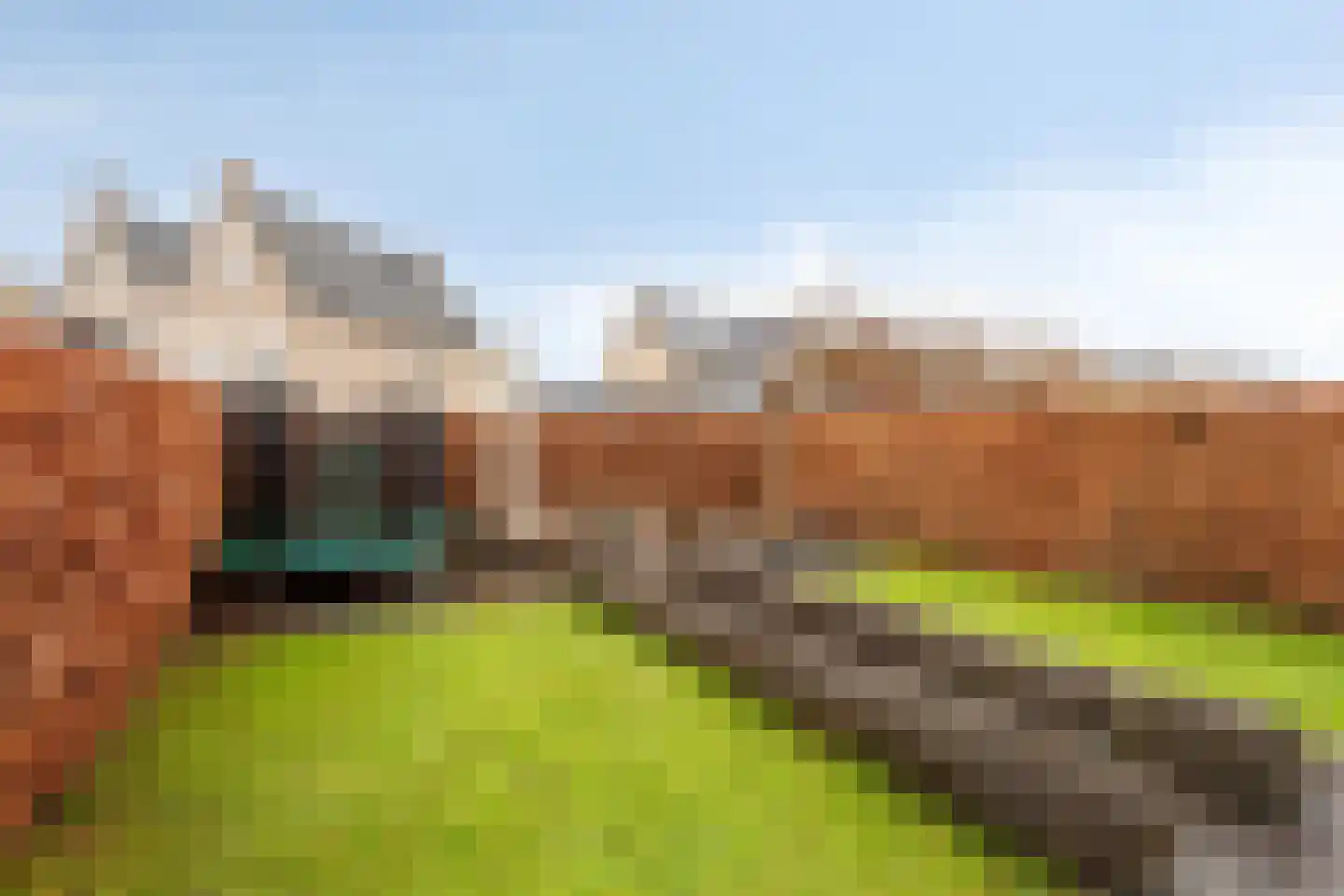 Groene Specht 3 Eijsden thumbnail 30