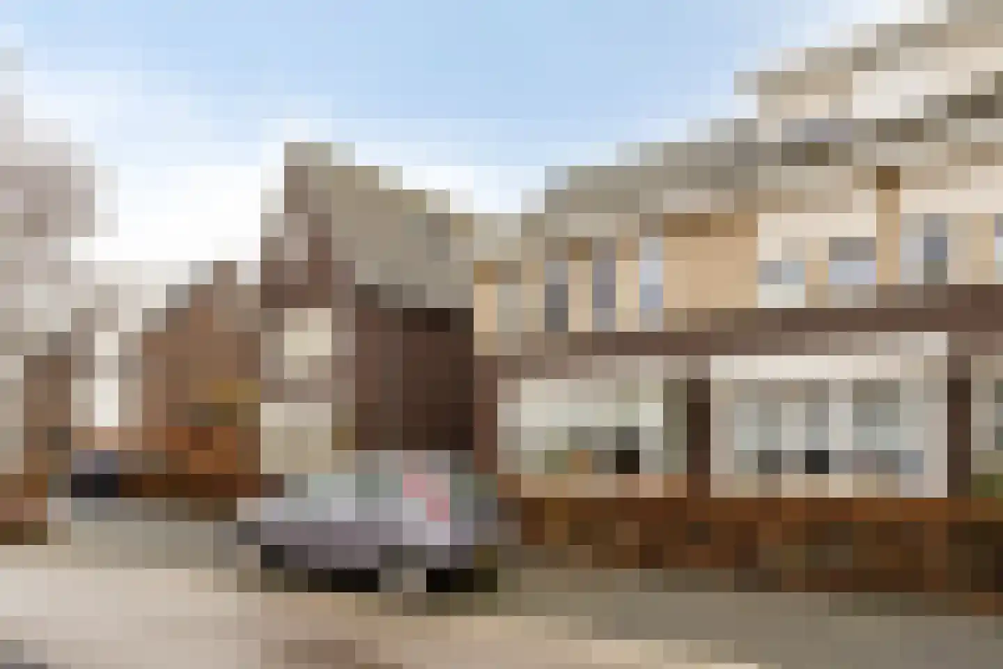 Groene Specht 3 Eijsden thumbnail 36