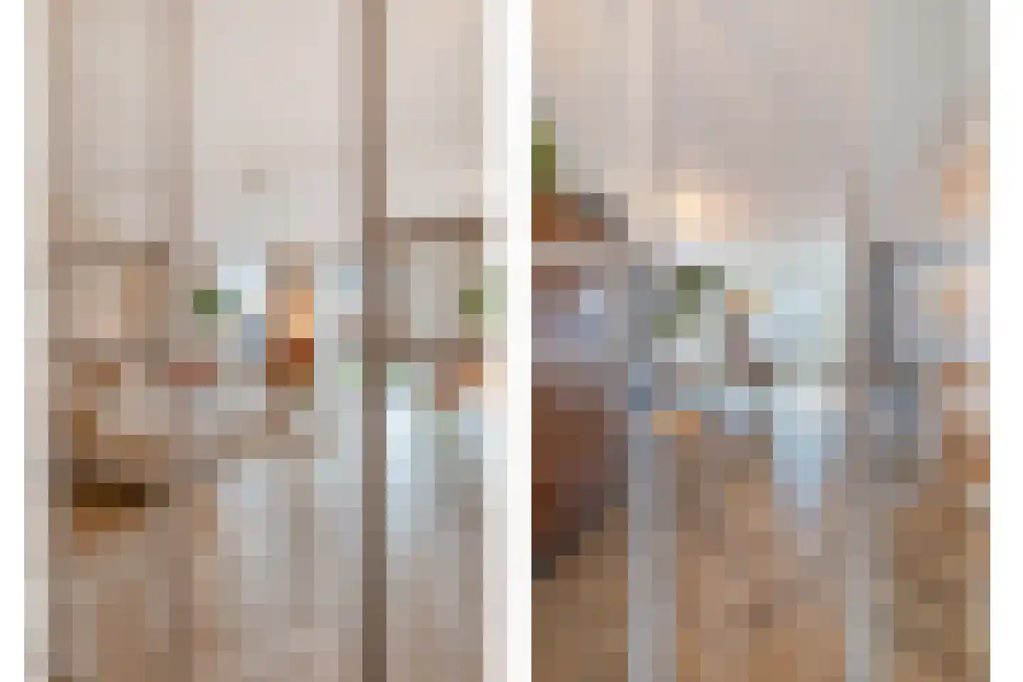 Groene Specht 3 Eijsden thumbnail 5