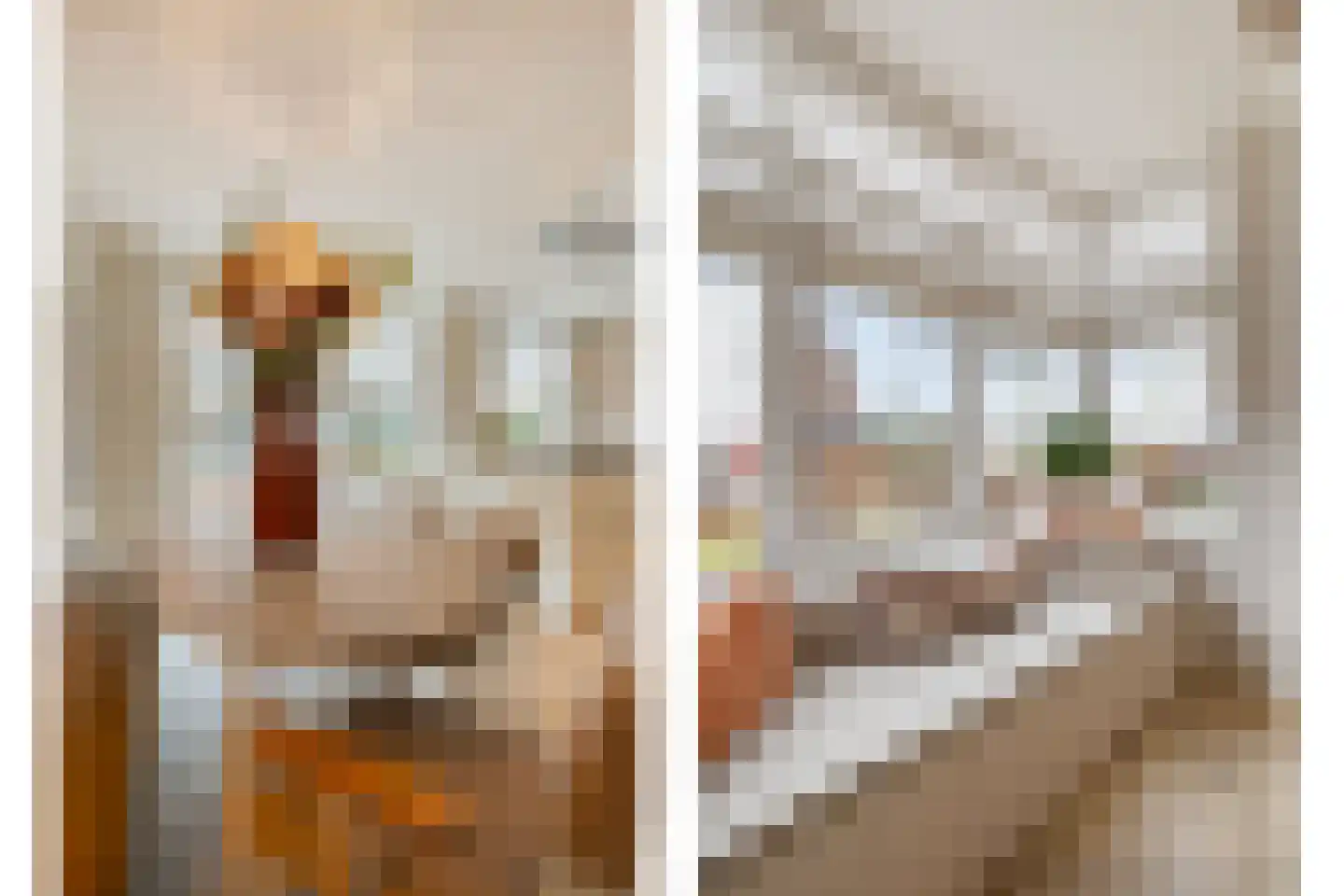 Groene Specht 3 Eijsden thumbnail 9