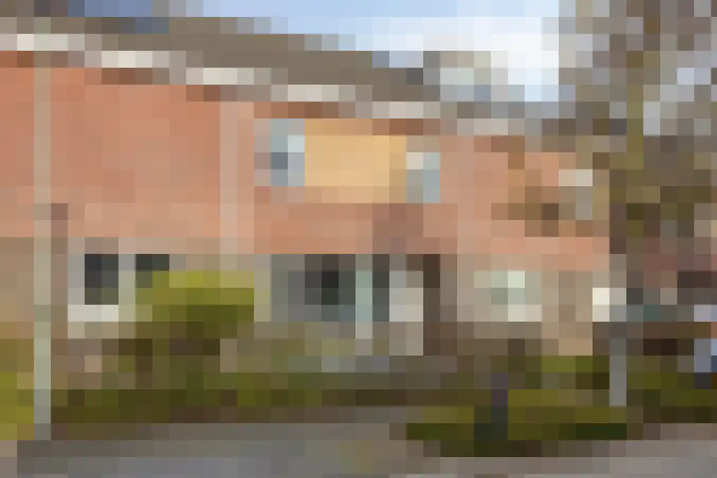 Groene Specht 33 Eijsden
