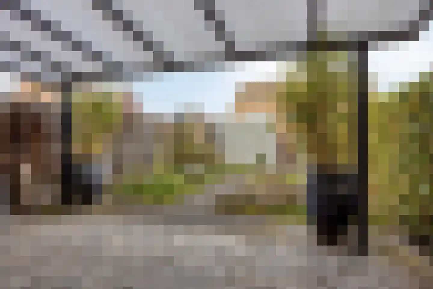 Groene Specht 33 Eijsden thumbnail 27