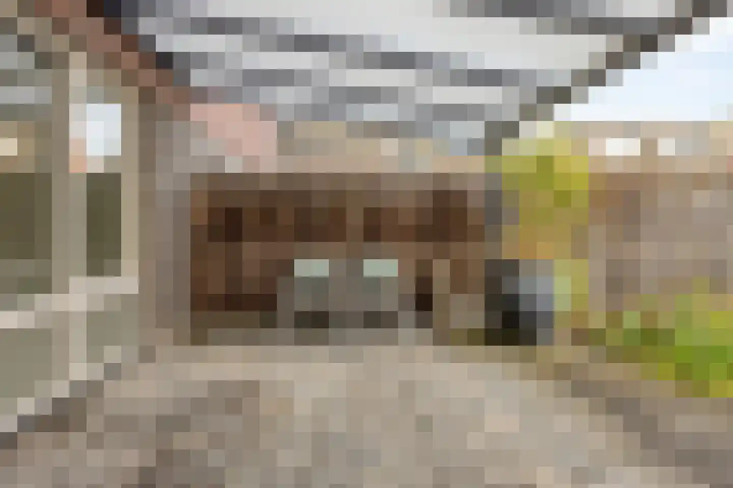 Groene Specht 33 Eijsden thumbnail 28