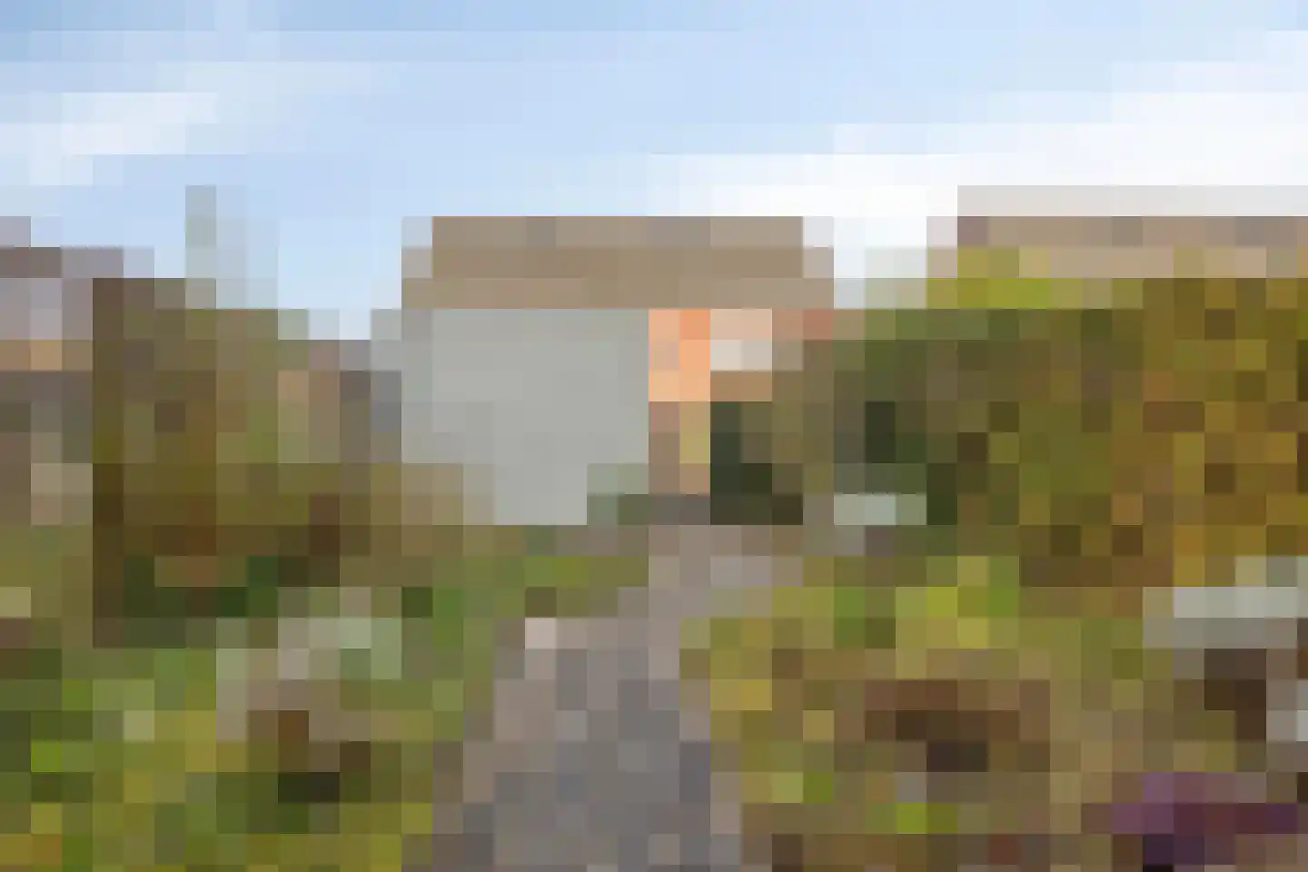 Groene Specht 33 Eijsden thumbnail 29