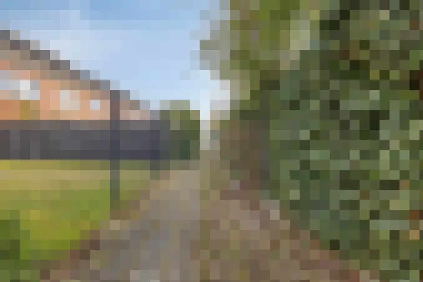 Groene Specht 33 Eijsden thumbnail 31