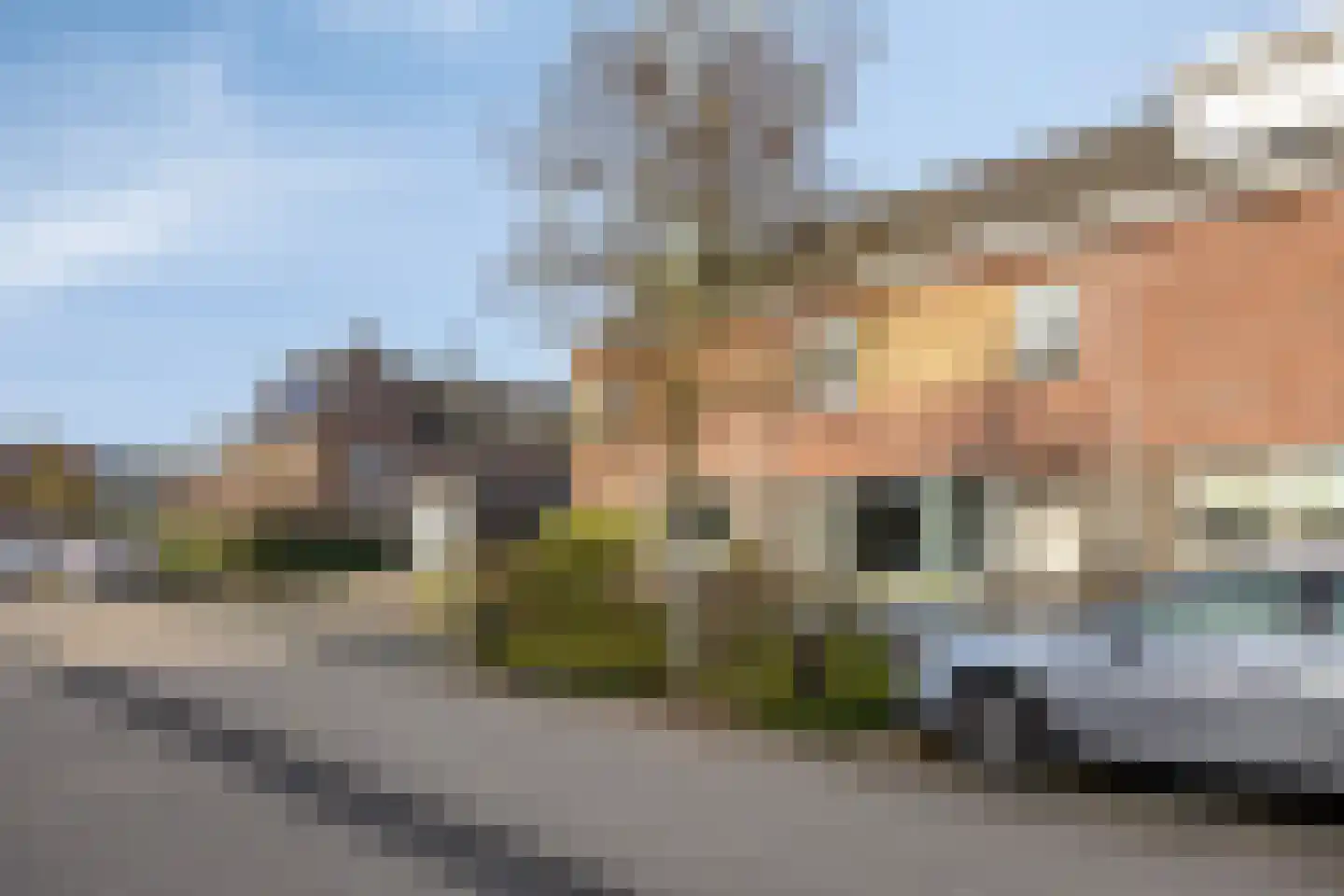 Groene Specht 33 Eijsden thumbnail 35