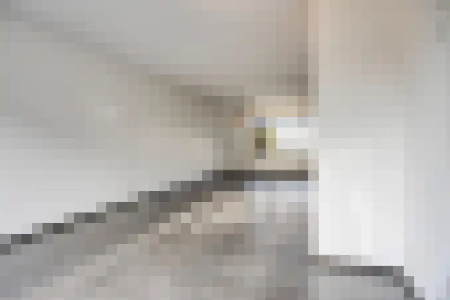 Groene Specht 33 Eijsden thumbnail 4